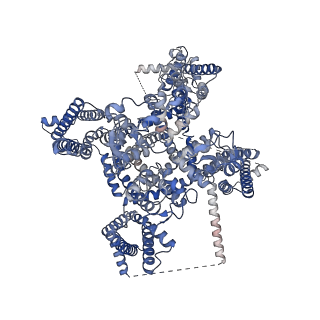 35198_8i5y_A_v1-1
Structure of human Nav1.7 in complex with vixotrigine
