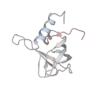 4410_6i52_A_v1-1
Yeast RPA bound to ssDNA