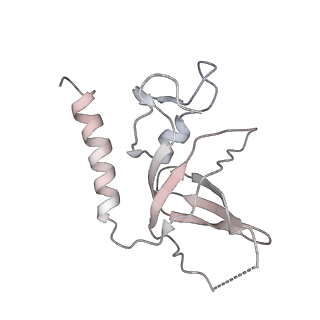 4410_6i52_B_v1-1
Yeast RPA bound to ssDNA