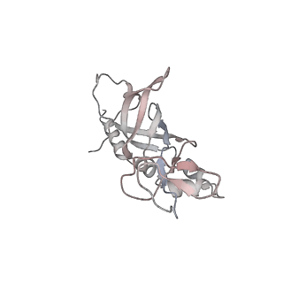 4410_6i52_C_v1-1
Yeast RPA bound to ssDNA