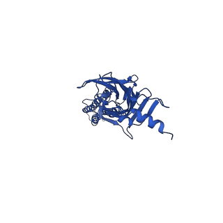 4411_6i53_A_v2-1
Cryo-EM structure of the human synaptic alpha1-beta3-gamma2 GABAA receptor in complex with Megabody38 in a lipid nanodisc