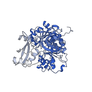35200_8i6m_B_v1-0
Acyl-ACP Synthetase structure bound to AMP-C18:1