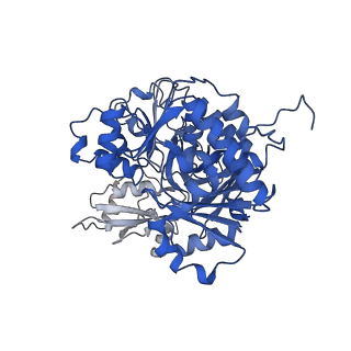35200_8i6m_C_v1-0
Acyl-ACP Synthetase structure bound to AMP-C18:1