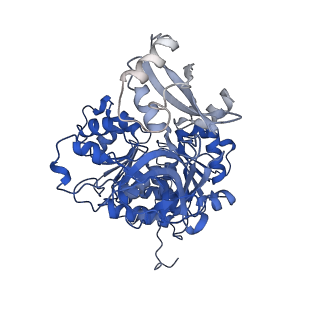 35200_8i6m_D_v1-0
Acyl-ACP Synthetase structure bound to AMP-C18:1
