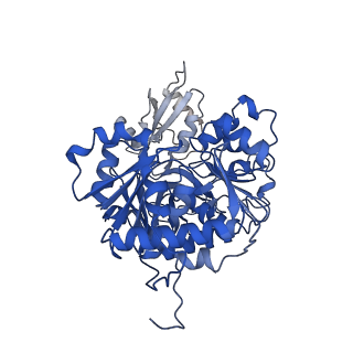35200_8i6m_E_v1-0
Acyl-ACP Synthetase structure bound to AMP-C18:1