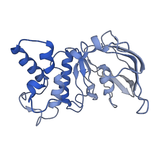 35201_8i6o_B_v1-0
Cryo-EM structure of Pseudomonas aeruginosa FtsE(WT)X/EnvC complex in peptidisc