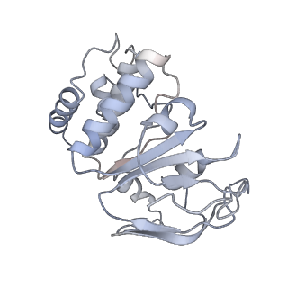35203_8i6q_B_v1-0
Cryo-EM structure of Pseudomonas aeruginosa FtsE(WT)X complex in peptidisc