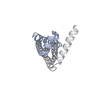 35203_8i6q_C_v1-0
Cryo-EM structure of Pseudomonas aeruginosa FtsE(WT)X complex in peptidisc