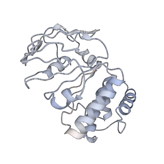 35203_8i6q_D_v1-0
Cryo-EM structure of Pseudomonas aeruginosa FtsE(WT)X complex in peptidisc