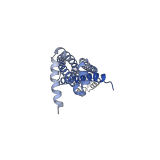 35204_8i6r_A_v1-0
Cryo-EM structure of Pseudomonas aeruginosa FtsE(E163Q)X/EnvC complex with ATP in peptidisc