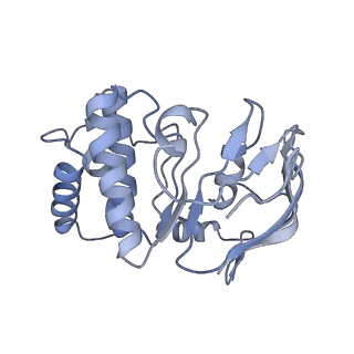 35204_8i6r_B_v1-0
Cryo-EM structure of Pseudomonas aeruginosa FtsE(E163Q)X/EnvC complex with ATP in peptidisc