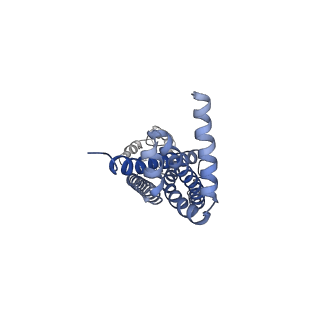 35204_8i6r_C_v1-0
Cryo-EM structure of Pseudomonas aeruginosa FtsE(E163Q)X/EnvC complex with ATP in peptidisc