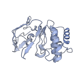 35204_8i6r_D_v1-0
Cryo-EM structure of Pseudomonas aeruginosa FtsE(E163Q)X/EnvC complex with ATP in peptidisc