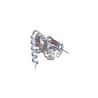 35205_8i6s_A_v1-0
Cryo-EM structure of Pseudomonas aeruginosa FtsE(E163Q)X/EnvC complex with ATP in peptidisc