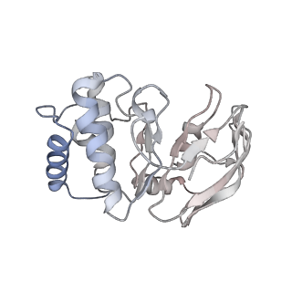 35205_8i6s_B_v1-0
Cryo-EM structure of Pseudomonas aeruginosa FtsE(E163Q)X/EnvC complex with ATP in peptidisc