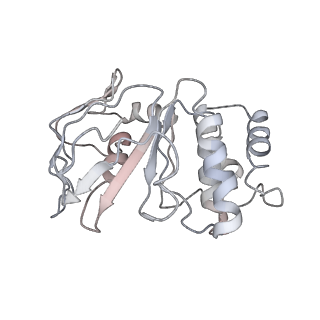 35205_8i6s_D_v1-0
Cryo-EM structure of Pseudomonas aeruginosa FtsE(E163Q)X/EnvC complex with ATP in peptidisc