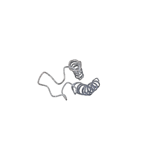 35205_8i6s_E_v1-0
Cryo-EM structure of Pseudomonas aeruginosa FtsE(E163Q)X/EnvC complex with ATP in peptidisc