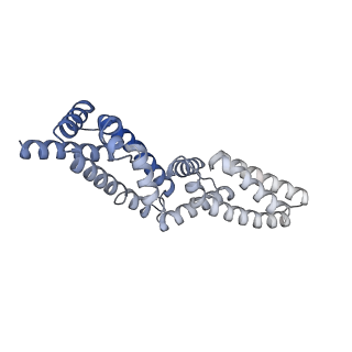35212_8i79_B_v1-0
Cryo-EM structure of KCTD7 in complex with Cullin3