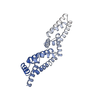 35212_8i79_C_v1-0
Cryo-EM structure of KCTD7 in complex with Cullin3