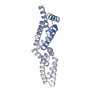 35212_8i79_E_v1-0
Cryo-EM structure of KCTD7 in complex with Cullin3