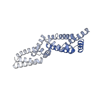 35212_8i79_H_v1-0
Cryo-EM structure of KCTD7 in complex with Cullin3