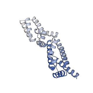 35212_8i79_J_v1-0
Cryo-EM structure of KCTD7 in complex with Cullin3