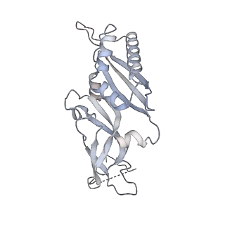 35216_8i7j_B_v1-0
Yeast 40S-eIF4B - partially open conformation of the 40S head