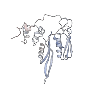 35216_8i7j_C_v1-0
Yeast 40S-eIF4B - partially open conformation of the 40S head