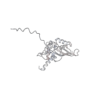 35216_8i7j_D_v1-0
Yeast 40S-eIF4B - partially open conformation of the 40S head