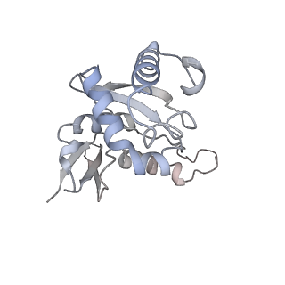 35216_8i7j_H_v1-0
Yeast 40S-eIF4B - partially open conformation of the 40S head