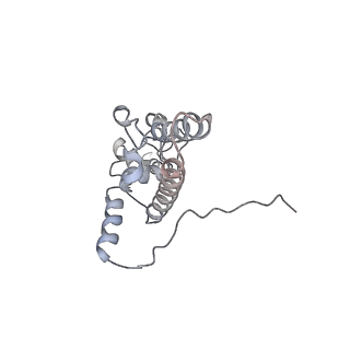 35216_8i7j_J_v1-0
Yeast 40S-eIF4B - partially open conformation of the 40S head