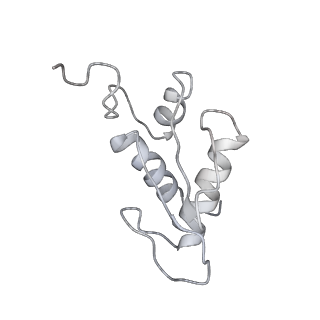 35216_8i7j_K_v1-0
Yeast 40S-eIF4B - partially open conformation of the 40S head