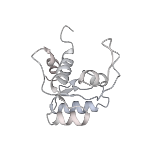 35216_8i7j_M_v1-0
Yeast 40S-eIF4B - partially open conformation of the 40S head