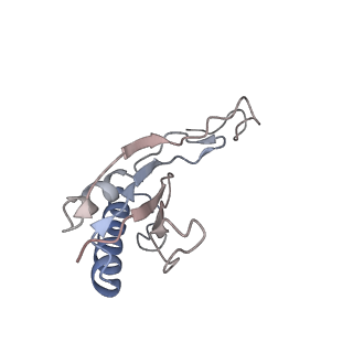 35216_8i7j_O_v1-0
Yeast 40S-eIF4B - partially open conformation of the 40S head