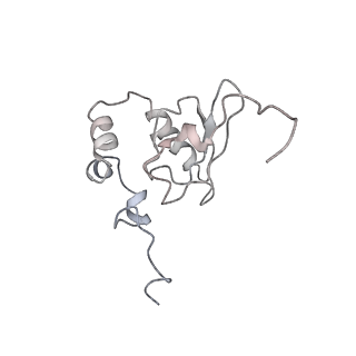 35216_8i7j_P_v1-0
Yeast 40S-eIF4B - partially open conformation of the 40S head