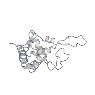 35216_8i7j_T_v1-0
Yeast 40S-eIF4B - partially open conformation of the 40S head