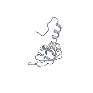 35216_8i7j_X_v1-0
Yeast 40S-eIF4B - partially open conformation of the 40S head