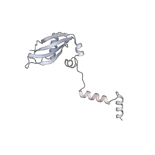 35216_8i7j_Y_v1-0
Yeast 40S-eIF4B - partially open conformation of the 40S head