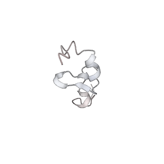 35216_8i7j_d_v1-0
Yeast 40S-eIF4B - partially open conformation of the 40S head