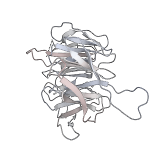 35216_8i7j_g_v1-0
Yeast 40S-eIF4B - partially open conformation of the 40S head