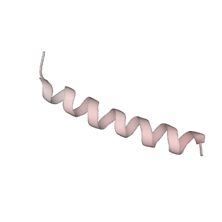 35216_8i7j_h_v1-0
Yeast 40S-eIF4B - partially open conformation of the 40S head