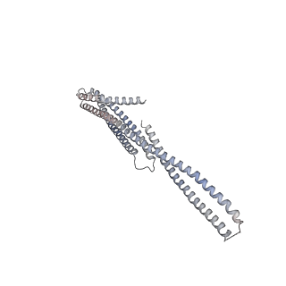 35229_8i7o_Fl_v1-1
In situ structure of axonemal doublet microtubules in mouse sperm with 16-nm repeat