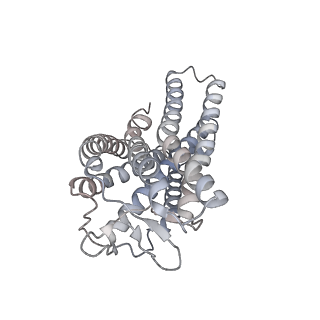 35234_8i7v_A_v1-0
Cryo-EM structure of Acipimox bound human hydroxy-carboxylic acid receptor 2 in complex with Gi heterotrimer