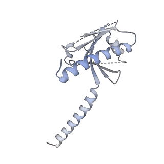 35234_8i7v_B_v1-0
Cryo-EM structure of Acipimox bound human hydroxy-carboxylic acid receptor 2 in complex with Gi heterotrimer
