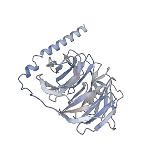 35234_8i7v_C_v1-0
Cryo-EM structure of Acipimox bound human hydroxy-carboxylic acid receptor 2 in complex with Gi heterotrimer