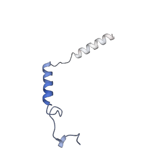 35234_8i7v_D_v1-0
Cryo-EM structure of Acipimox bound human hydroxy-carboxylic acid receptor 2 in complex with Gi heterotrimer