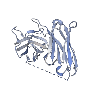 35234_8i7v_E_v1-0
Cryo-EM structure of Acipimox bound human hydroxy-carboxylic acid receptor 2 in complex with Gi heterotrimer