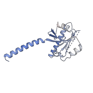 35235_8i7w_B_v1-0
Cryo-EM structure of GSK256073 bound human hydroxy-carboxylic acid receptor 2 in complex with Gi heterotrimer