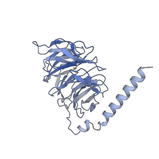 35235_8i7w_C_v1-0
Cryo-EM structure of GSK256073 bound human hydroxy-carboxylic acid receptor 2 in complex with Gi heterotrimer