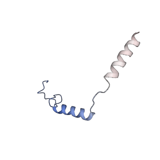 35235_8i7w_D_v1-0
Cryo-EM structure of GSK256073 bound human hydroxy-carboxylic acid receptor 2 in complex with Gi heterotrimer